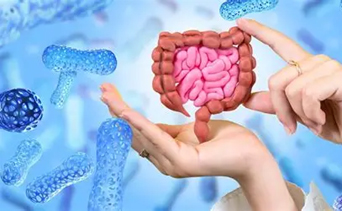 Il Microbiota Intestinale